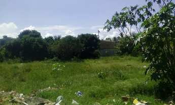 Imagem 7: Macaé - Loteamento/Condomínio - Lagomar