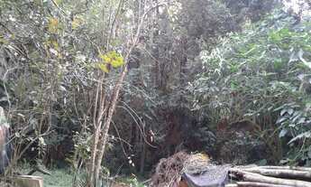 Imagem 4: TERRENO RESIDENCIAL em Cotia - SP, Cotia