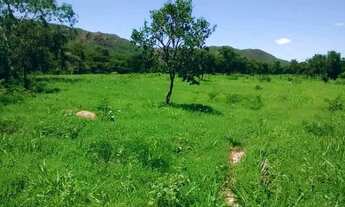 Imagem 3: Fazenda para Venda em Senador Modestino Gonçalves, zona rural, 2 dormitórios, 1 banheiro