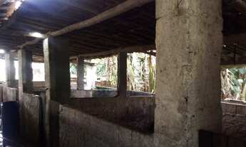 Imagem 2: Vendo Este Terreno