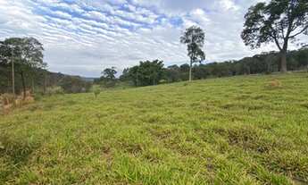 Imagem: Terreno com área de 2,5 ha em Sítio Novo