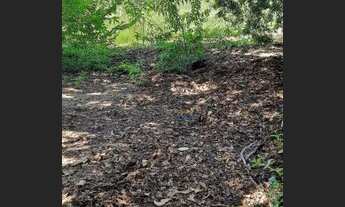 Imagem 5: Terreno à venda, 4000 m² por R$ 1.000.000 - Sapé I - Caçapava/SP