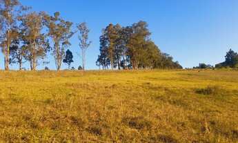 Imagem 4: Linda chácara com vertentes e um valor ótimo localizada em Taquara RS!!