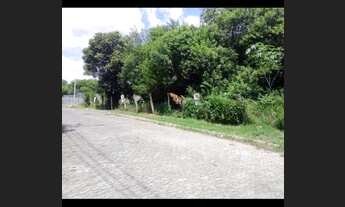 Imagem 4: 04 Excelentes Terrenos 10x40 na Rui Ramos em Cachoeirinha