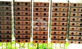 Imagem 2: PORTO ALEGRE - Apartamento Padrão - Centro Histórico