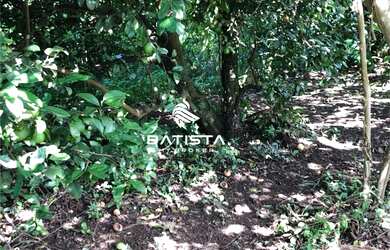 Imagem 5: Fazenda 66 Alqueires, 40 km de Palmas