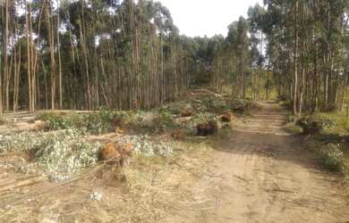 Imagem 3: Salesópolis - SP