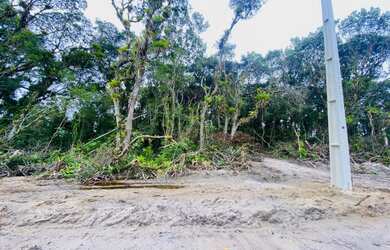 Imagem 3: Terreno para Venda - Praia Grande, Matinhos - 450m²