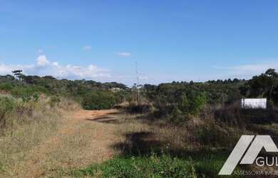 Imagem 7: Terreno para Venda em Curitiba, Butiatuvinha