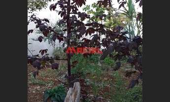 Imagem 4: Venda - TERRENO RESIDENCIAL - RESIDENCIAL DOM BOSCO - SAO JOSE DOS CAMPOS - AT 150 M² - VA