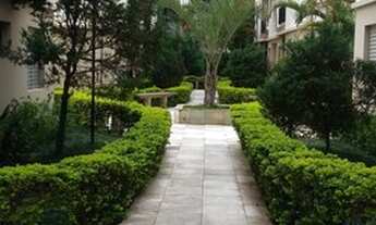 Imagem 6: Apartamento para venda com 50 metros quadrados com 2 quartos em Jardim das Palmas - São Pa