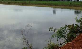 Imagem 6: Fazenda/Sítio/Chácara para venda possui 323 alqueires , Santa Vitória