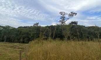 Imagem 3: Terreno com área de 2,5 ha em Sítio Novo - Mateus leme/MG