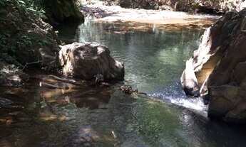 Imagem: Terreno Centro de Macacos 33.000 m²