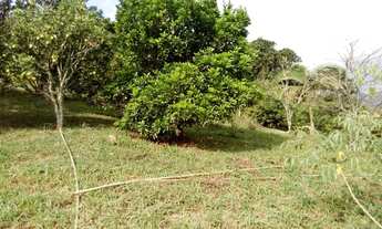 Imagem 5: Sítio para venda com 20.000m Moralogia Mogi das Cruzes/SP