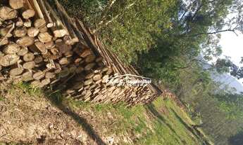 Imagem 4: Sítio com 1 dormitório à venda, 90000 m² por R$ 400.000 - Timbé do Sul/Santa Catarina