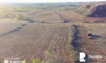 Imagem 4: Fazenda em Lizarda - TO