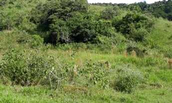 Imagem 4: Terreno muito bom na cidade de Santa Isabel