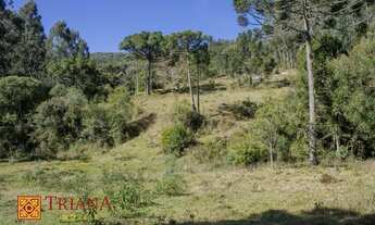 Imagem 7: Terreno - Rio Rufino SC