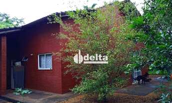 Imagem 3: Chácara com 3 dormitórios à venda, 1500 m² por R$ 630.000,00 - Parque Das Andorinhas - Ube