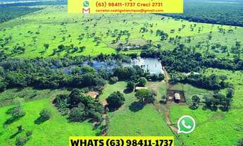 Imagem: Fazenda Marianópolis safra e safrinha