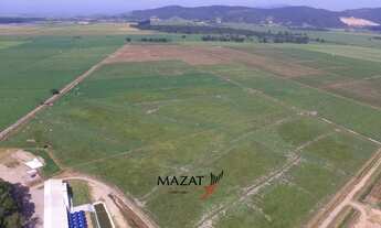 Imagem 2: Terreno rural de 167 hectares em Tijucas SC