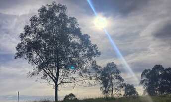 Imagem: R5- Lote/Terreno para venda com 600 metros