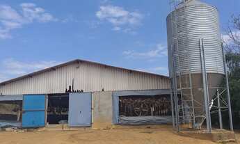 Imagem 4: Sitio Granja-Morungaba/SP/BR