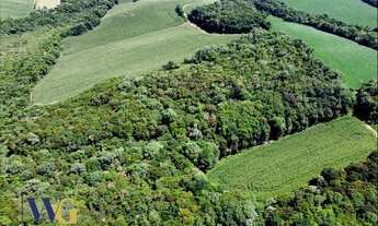 Imagem: Terreno para Venda em Campo Largo, Colônia