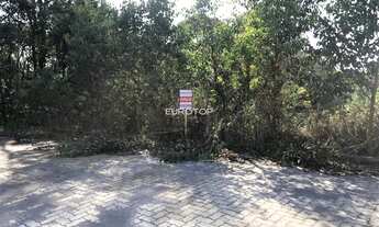 Imagem 3: Terreno a venda no Santo Antão!