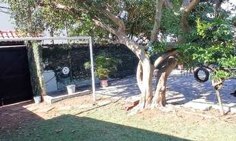 Imagem 4: Casa térrea à venda ou locação na Vila Suissa, com muito espaço e ótima localização