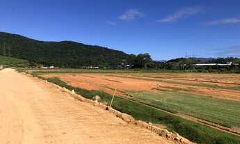 Imagem 7: Lote/Terreno Industrial em Biguaçu - SC