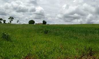 Imagem 6: FAZENDA 175 ALQ, PASTO COM APTIDÃO PARA CAFÉ OU GRÃOS - Sul de Minas Gerais