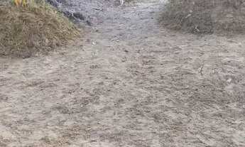 Imagem: Alugo casa em algodoal