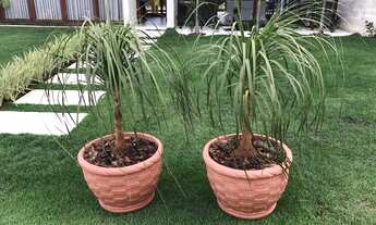 Imagem 3: Locação belissima casa 4 suites em Praia do forte