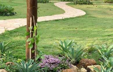 Imagem 2: ESPETACULAR FAZENDA 5 QUARTOS EM PASSA TEMPO