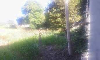 Imagem 5: Área Construção de Prédio residencial e comercial - Jardim Paraiba - 4.646,27m²