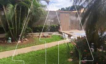 Imagem 6: Santo Antônio do Aracanguá - Fazenda/Sítio - Macaúba