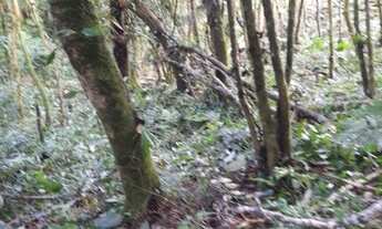 Imagem: Vende - se Sítio em Juquitiba