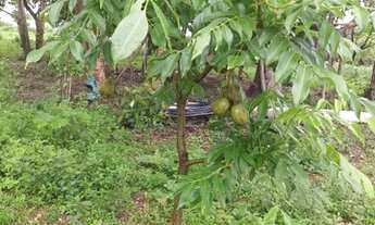 Imagem 3: Chácara Chácara com venda por R$300.000