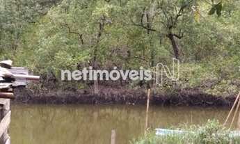Imagem: Venda Lote-Área-Terreno Sambaqui Florianópolis