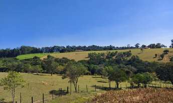 Imagem 7: SITIO RURAL em Cabreúva - SP, Jacaré
