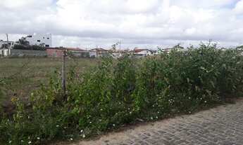 Imagem 2: Área Com 9000m2, Nova Esperança, Parnamirim