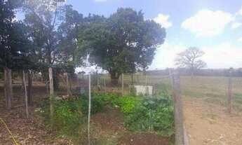 Imagem 5: Fazenda/Sítio/Chácara para venda possui 300 metros quadrados com 3 quartos