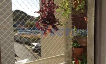 Imagem 3: Apartamento - Parque Dom Pedro II - Campinas