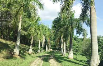Imagem 3: Campinas - Casa de Condomínio - Sousas
