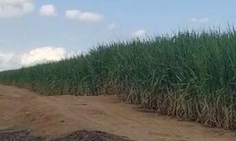 Imagem 2: Fazenda/Sítio/Chácara para venda possui 338800 metros quadrados em Zona Rural - Tietê - SP