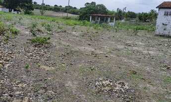 Imagem 4: Excelente Fazenda com 150 hectares na região de São Gonçalo do Amarante