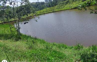 Imagem 4: Venha ter o terreno perfeito para você e sua família!