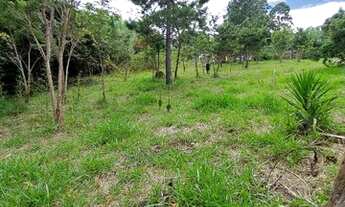 Imagem 2: Chacara 7.200 m², topografia plana, ótimo para chácaras, 75 km da Capital, F. Dias, B.Paul